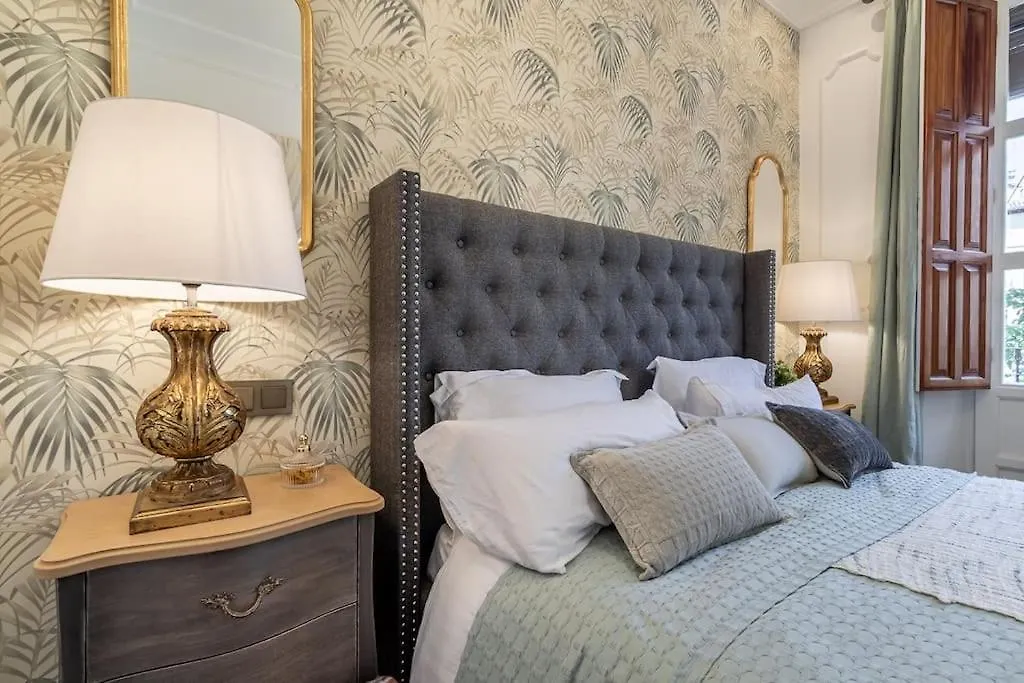 Ch Elvira Luxury Apartment 格拉纳达 西班牙